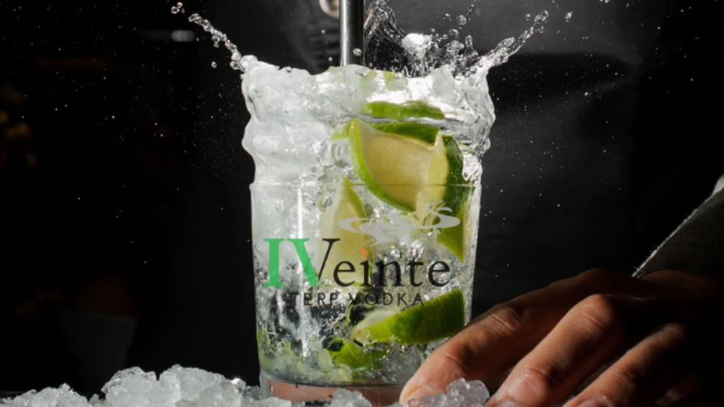Terp Vodka with IVeinte Spirits: A Tasting Guide